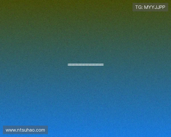 掘金队全力备战新赛季，约基奇引领球队再度冲击总冠军